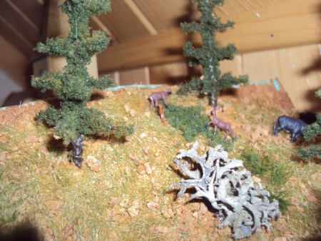  Toto sú už bežnejší obyvatelia nášho pásma.